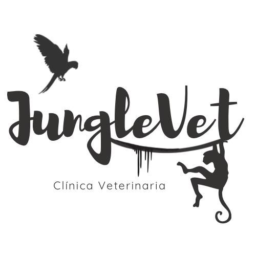 Junglevet Clínica Veterinaria