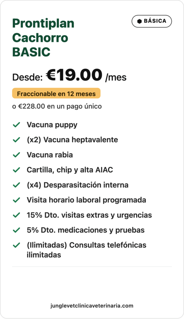 Prontiplan-Cachorro-BASIC