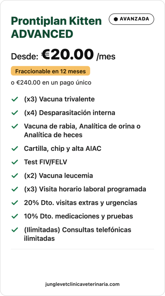 Prontiplan-Kitten-ADVANCED