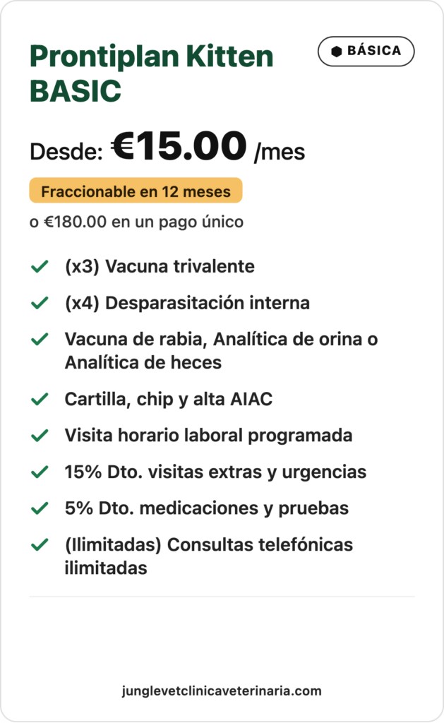 Prontiplan-Kitten-BASIC
